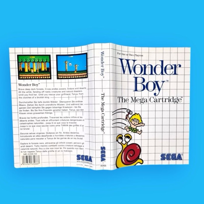 Wonder Boy / Master System