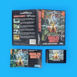Ghouls'N Ghosts / Mega Drive